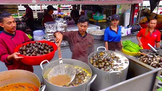 100 Kg of Snail Sold Per Day ! Popular Snail Soup, Flaming Beef, Fried Rice | Cambodian Street Food