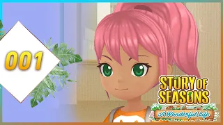 #001 Ein neues Leben beginnt | Story of Seasons: A wonderful Life - Preview Gameplay