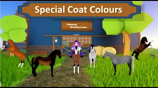 Special Coat Colours - Wild Horse Islands