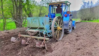 Sázení brambor 2023 | Zetor 3011 & Nové gumy