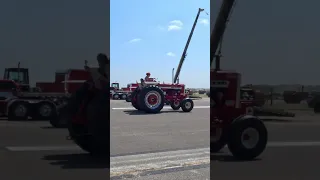 Farmall 1206 Turbo 🤠 Half Century of Progress Rantoul IL 🤠 Tractor Show #tractor #shorts