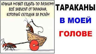 Лютые приколы. Тараканы в моей голове. Дневная подборка