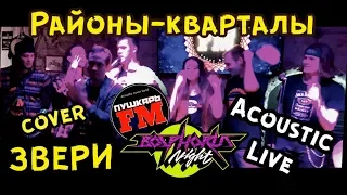 ПушкарьFM feat Bosphorus Night - “Районы-Кварталы" (Звери cover) - Live “Другой" bar 19.01.2019