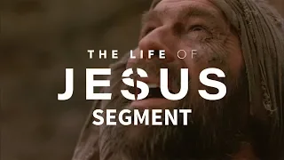 The Life of Jesus • Chinese, Mandarin •  Part 24 of 49