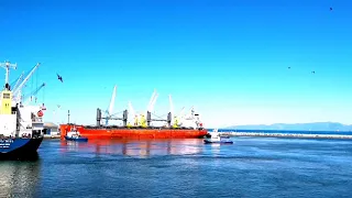 Sharp Turning | Timelapse | Berthing Bulk Carrier Ship