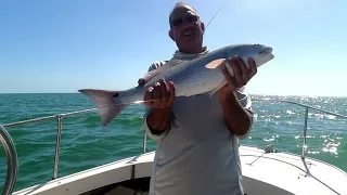 Micro Jigging Florida (Sanibel)