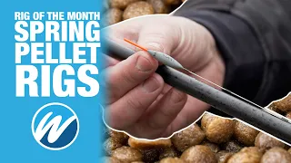 Spring Pellet Fishing Rigs | Expander and Hard Pellets | Rig Of The Month | Jamie Hughes