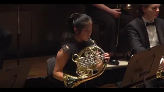 Tchaikovsky: Symphony No. 5. II. Horn Solo