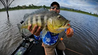 Olha o tamanho desse peixe, sorte de principiante?