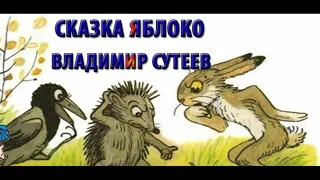 Яблоко — Владимир Сутеев — Сказка — читает Павел Беседин