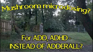 MUSHROOM MICRODOSING FOR ADD?