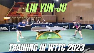 (#3) Lin Yun-Ju, Wang Chuqin training at WTTC Durban 2023