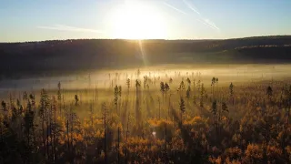 Hunting elk in Siberia during the rut