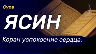 Ясин на всю ночь. Включайте на всю ночь, красивое и спокойное чтение корана.