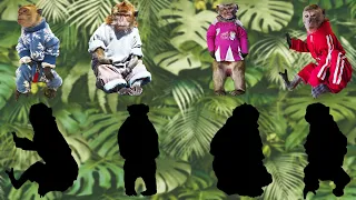 CUTE ANIMALS Monkeys, Chimpanzees, Clothes monkeys 귀여운 동물 원숭이, 침팬지, 옷 원숭이