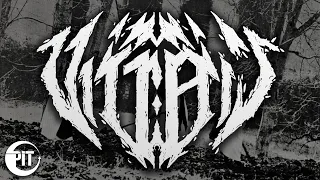VITRAIL - Le mépris du monde (FULL EP STREAM) Post-Black Metal