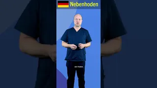 Wie tastet man den Nebenhoden? | #shorts Urologie Göttingen