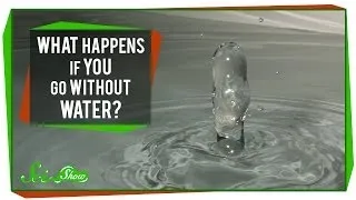 What Happens If You Go Without Water?