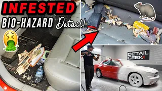 Deep Cleaning a RAT Infested Car! | The Detail Geek