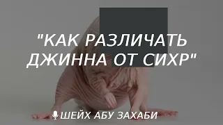 Как различать джинна от сихра