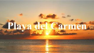 Living Abroad in Playa del Carmen | Quinta Avenida, Jugo de Naranja, Empanadas