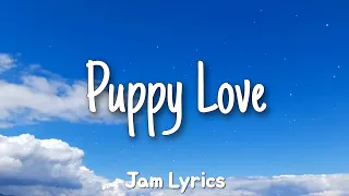 Puppy Love - Paul Anka ✓Lyrics✓