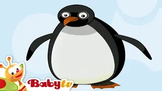Penguin 🐧  | Animal Sounds and Names for Kids & Toddlers | Cratoons @BabyTV