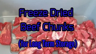Freeze Dried Beef Chunks
