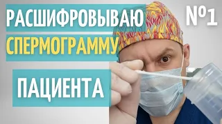 Сперматозоиды человека // Расшифровка спермограммы пациента // №1