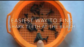 Easy Way to Find SHARK TEETH at the Beach