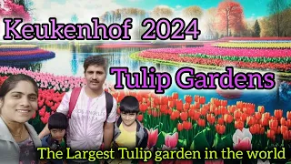 Keukenhof Tulip Gardens 2024 #Netherlands #germanyteluguvlogs #travelvlog @Sandhya_Kancharla