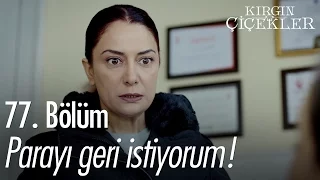 Parayı geri istiyorum! - Kırgın Çiçekler 77. Bölüm - atv