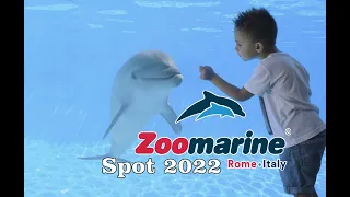 ZOOMARINE: spot 2022