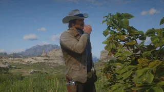 Arthur eats the wrong berries...