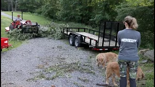 #459 Tree Lands on Trailer, Tractors, Chainsaws, and Commercial Mower