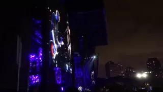 Red Hot Chili Peppers Lollapalooza 2016