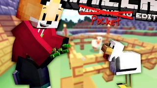 Minecraft | CATCHING CHICKENS | Foxy's Bedrock Survival [6]