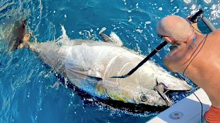 Amazing Level Giant Bluefin Tuna Fishing Skill - Most Satisfying Caught of Tuna on The Boat