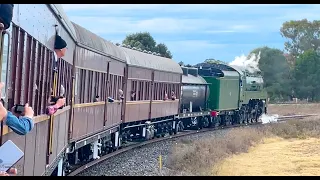 Australian Steam Trains: 3801 Western Regional Tour;  Narromine