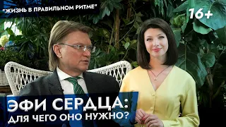 ЭФИ сердца: для чего оно нужно? Как мы программируем сердце?