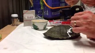 Turtle Shell Repair video 1