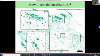 Advanced SMLM Colocalization, Statistical tools for analyzing spatial objects distribution [NA@Home]