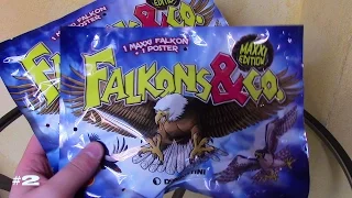 FALCONS & CO MAXXI EDITION BLIND BAGS | STRETCHY ANIMALS BIRDS