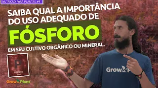 Fósforo para Plantas | Nutrição para Plantas #9