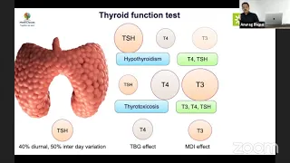 iPEDENDO Thyroid