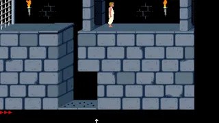 Prince of Persia, getting hit by a loose tile without losing health