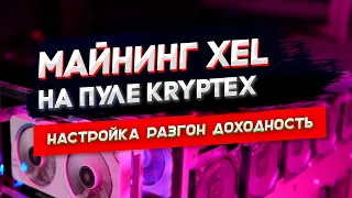 Майнинг XEL на пуле Kryptex