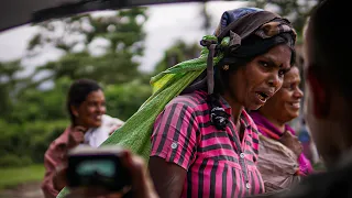 Катером по Джунглям Шри Ланки 😱 Как Растет Цейлонская Корица? Речное Сафари в Азии