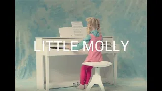 Tommy cash-LITTLE MOLLY (Original instrumental)