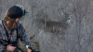 I Rattled In Too Many BUCKS!! | Giant Public Land 6 pt | Bowhunting Texas